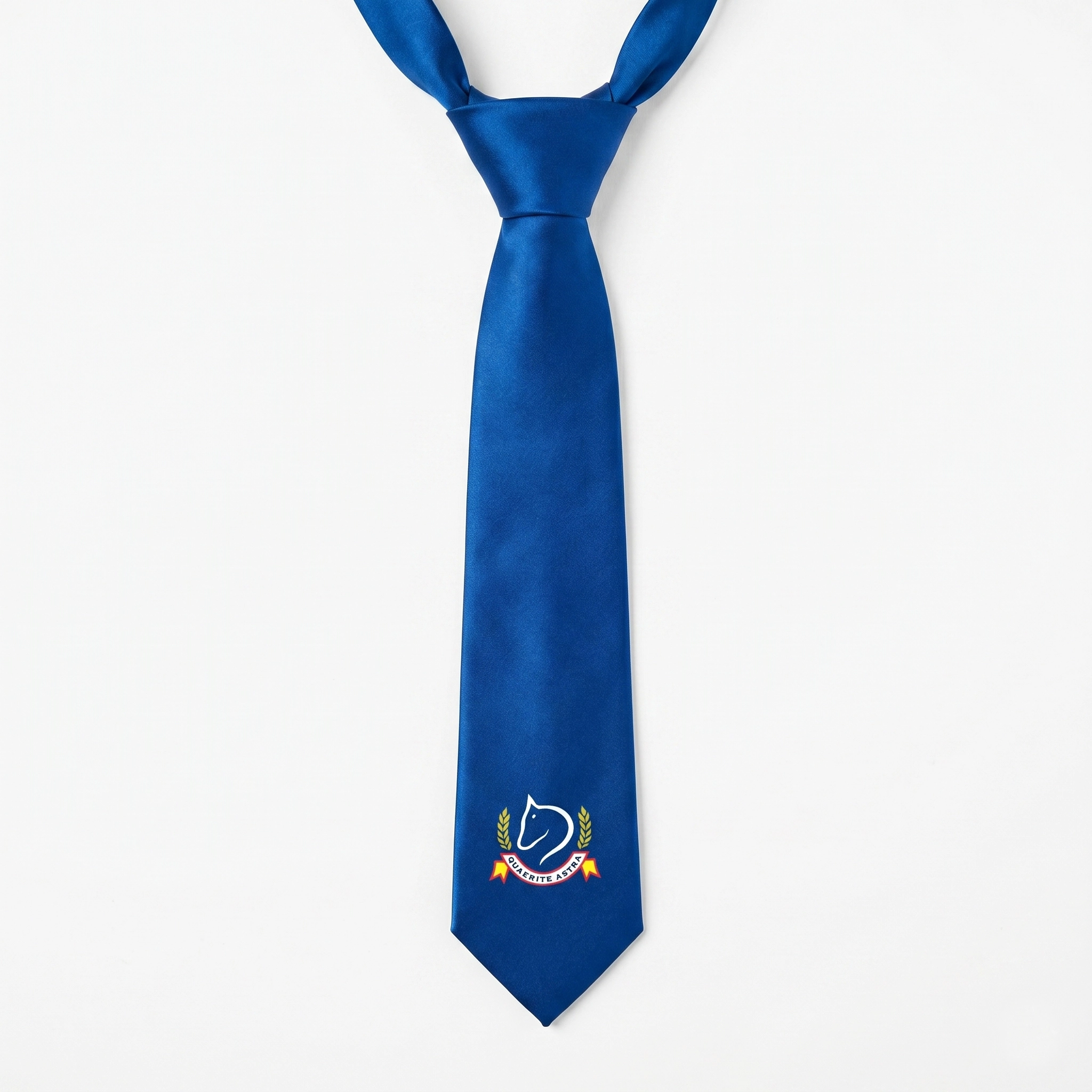 BPS TIE DONE Tie - Teal - Image 1